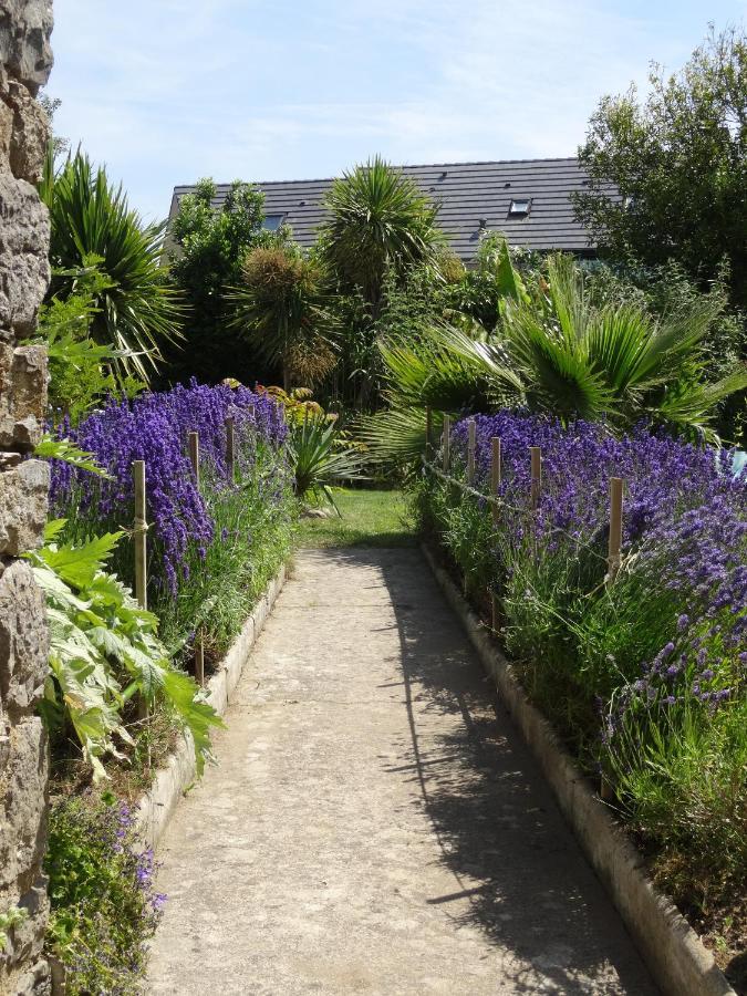 Gite "Rose Des Sables" - 800M De La Plage De Surtainville, Proche Commerces - Piscine En Juillet Et Aout 部屋 写真