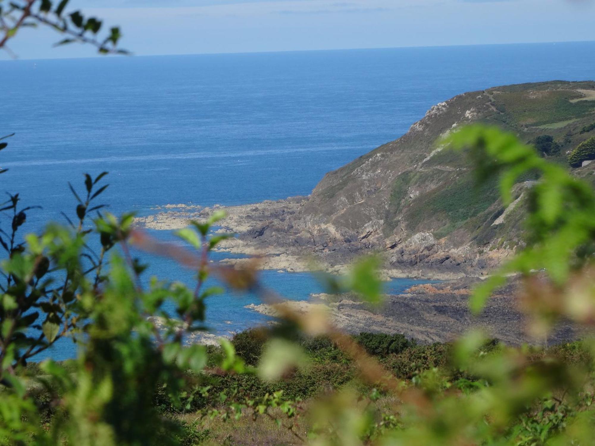 Gite "Rose Des Sables" - 800M De La Plage De Surtainville, Proche Commerces - Piscine En Juillet Et Aout エクステリア 写真
