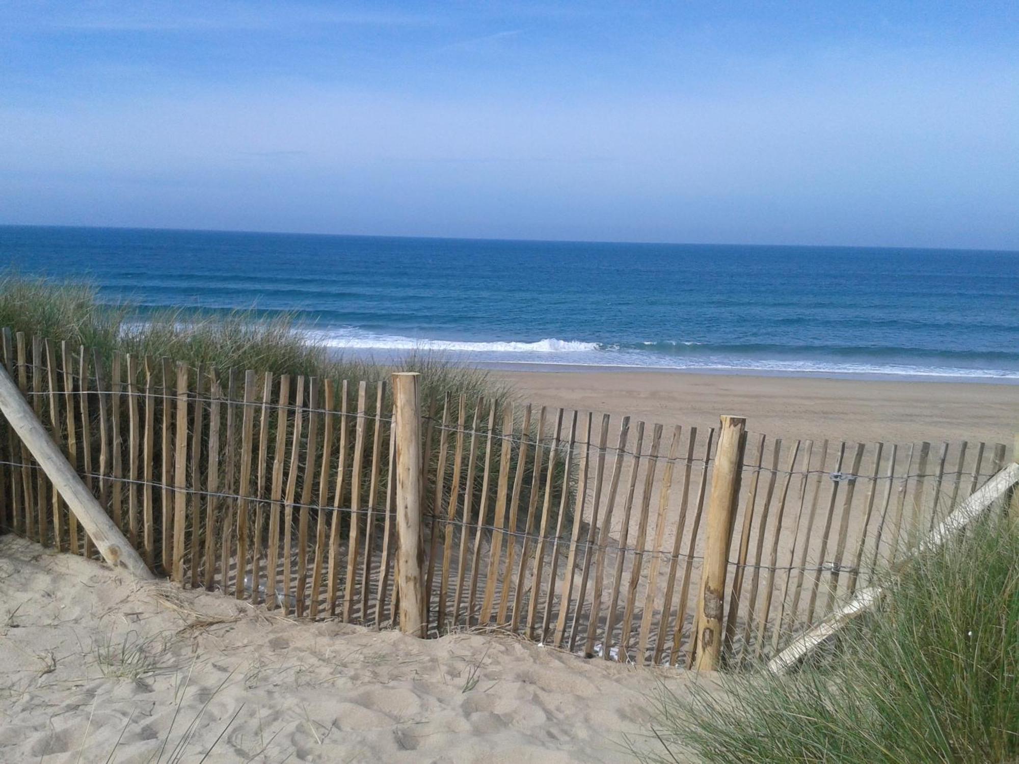 Gite "Rose Des Sables" - 800M De La Plage De Surtainville, Proche Commerces - Piscine En Juillet Et Aout エクステリア 写真